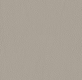 FUNGI VAL_107-2522-sample