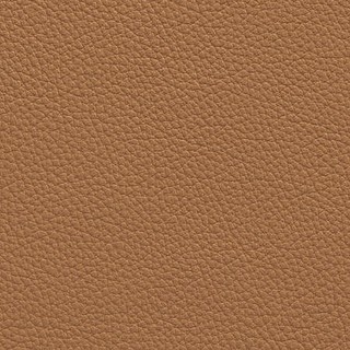 Le63 caramel-sample